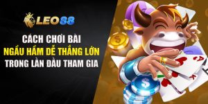 Cách Chơi Bài Ngầu Hầm