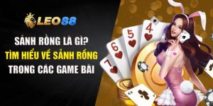 sảnh rồng là gì