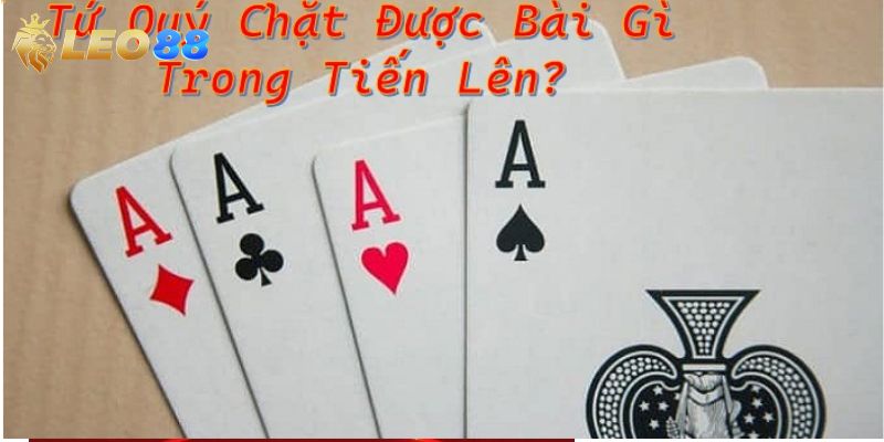 Thông tin về tứ quý - Tìm hiểu chi tiết